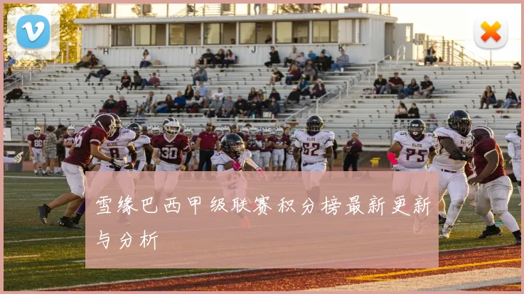 雪缘巴西甲级联赛积分榜最新更新与分析